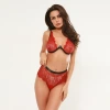 European and American cross-border supply of fashionable women's clothing, sexy strapless underwear, lace women's clothing two-piece set Application Scenario